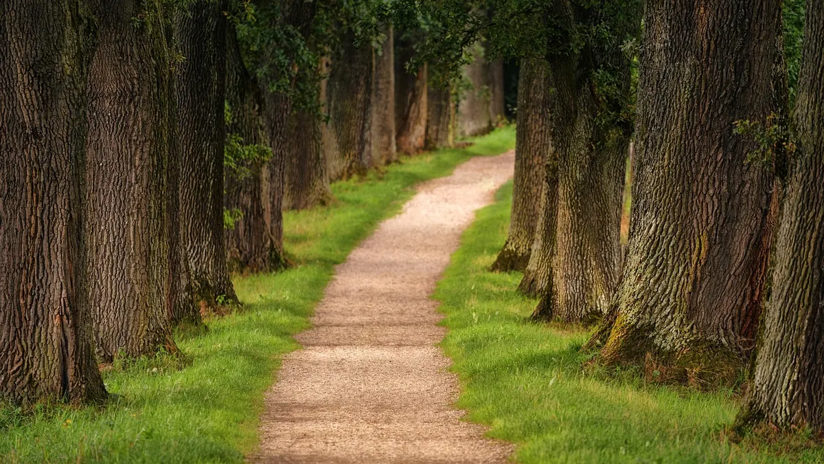 Night Hiking for Beginners: Safety, Kit and Route Planning